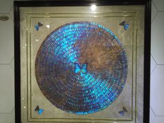 -上海昆虫博物馆