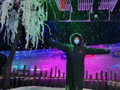 -武汉紫薇都市田园