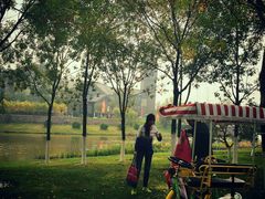 -武清南湖绿博园