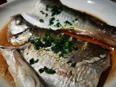 清蒸白水鱼-阿莉餐厅(枣阳路店)