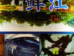 -桂客膳房·珍品堂