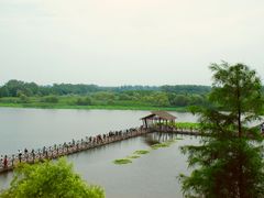 -溱湖国家湿地公园