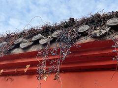 -成都市文殊院