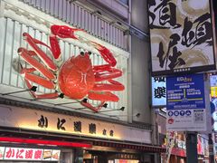 -蟹道乐(道顿堀本店)