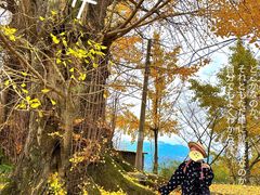 -四明山国家森林公园