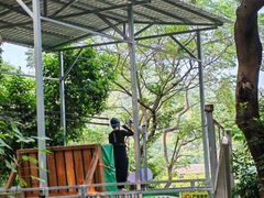 -芦仙山景区-飞越丛林探险乐园