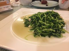 -静莲斋素食(慈云寺店)