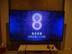 -影汇之星8字形摩天轮