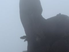 -黄山玉屏楼宾馆餐厅