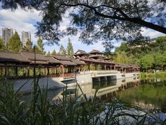 -重庆彩云湖湿地公园
