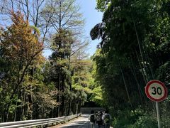 -莫干山风景区