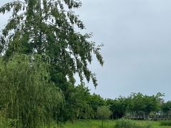 -眉山湿地公园(东坡区)