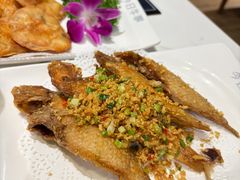 -今日牛事潮汕鲜牛肉火锅(瑞金店)