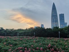 -深圳湾公园(南山区)