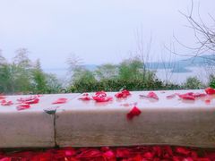 -天目湖涵田半山温泉水乐园
