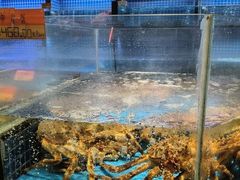 -徐记海鲜(大明宫|北二环店)