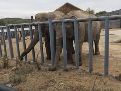 -新疆天山野生动物园