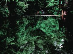 -西湖风景区十里琅珰-五云山