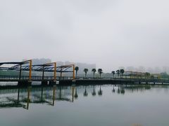 -白塘生态植物园