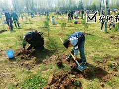 -汉长安城未央宫国家考古遗址公园