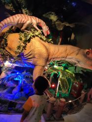 -恐龙探索乐园(磁器口店)