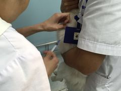 -中农大我爱我爱24h动物医院·中医针灸·猫专科·骨科医疗中心(双井店)
