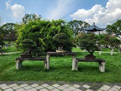 -江心屿景区