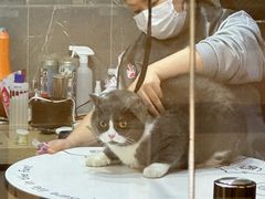 -悠尼宠物·独立低压伊珊娜洗护·美容·寄养(兰谷路店)