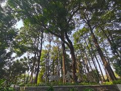 -四海公园(南山区)