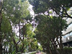 -博林圣海伦酒店-LA VILLA自助西餐厅(华侨城店)