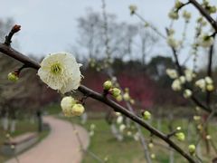 -月湖风景区