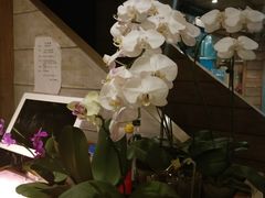 -春暖花开(西溪店)