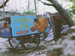 -小洲村