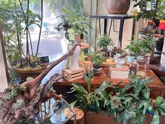 -弗劳尔花艺坊(龙涛店)