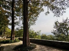 -莫干山风景区