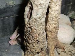 -未来动物城主题公园(正弘城店)