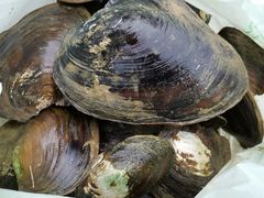 -飞来湖湿地公园