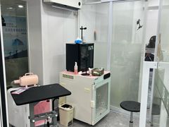 -爱洗澡的猫(天河路店)