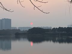 -洋湖国家湿地公园