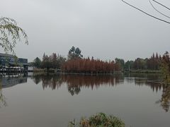 -白鹭湾湿地公园