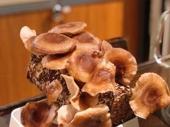 鲜活香菇-番食园鲜食火锅(高新店)