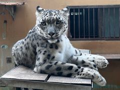 -青藏高原野生动物园