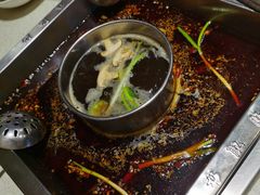 -杨肥肠小火锅(新桥店)