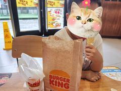 -汉堡王(徐汇绿地缤纷店)