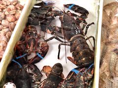 龙虾-南沙十九涌渔人码头-南门