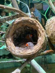 -Zoolung Zoolung动物主题公园(海信广场店)