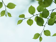 -雨花胜境