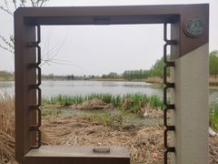 -马家湾湿地公园