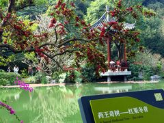 -云溪植物园