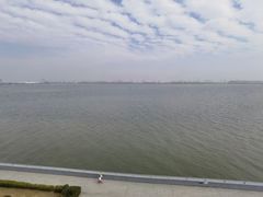 -大湾区中央湿地公园